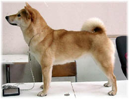 Roxy